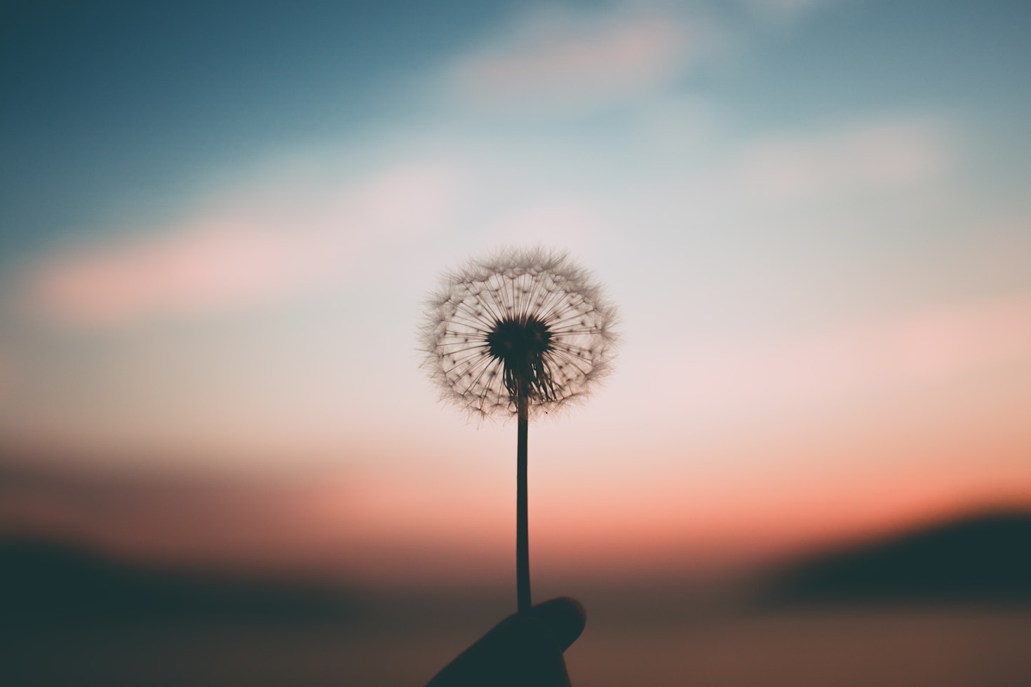 How Mindfulness Transforms Your Everyday Experience